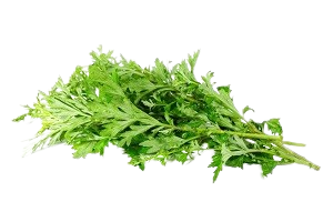 Estratto di assenzio - ingrediente efficace di Helmixin